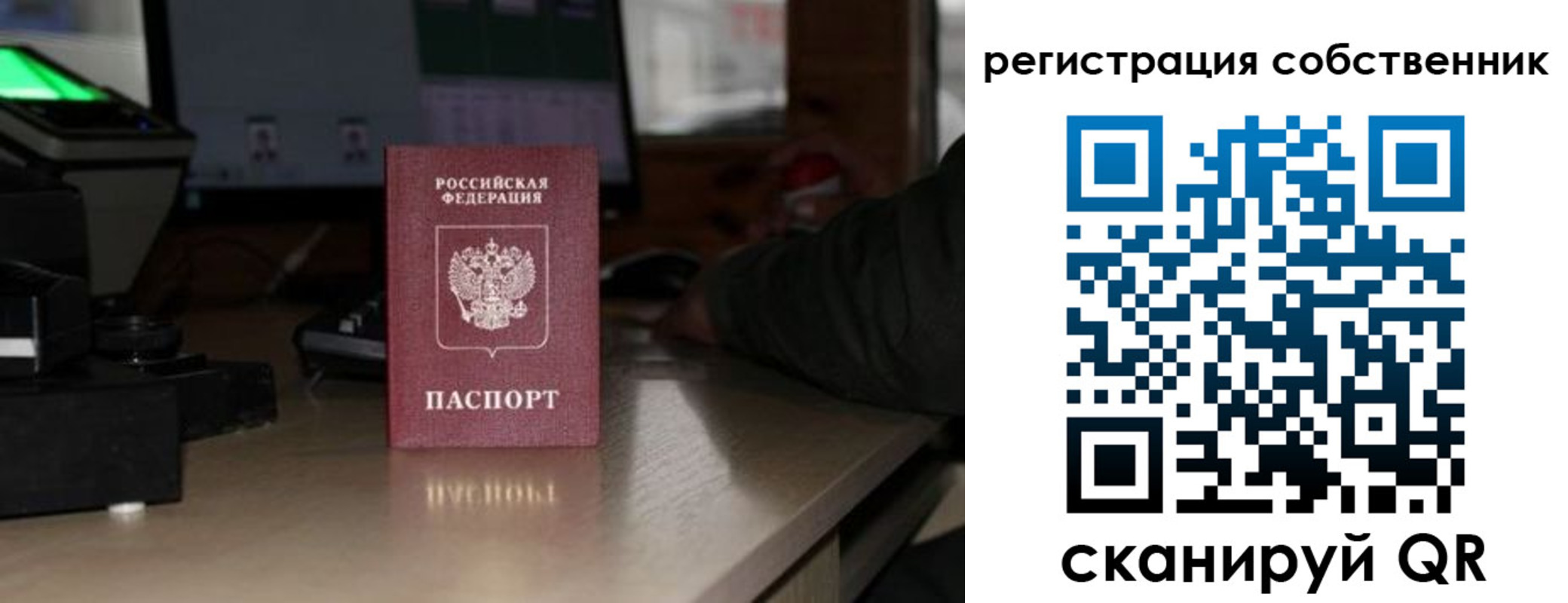 прописка поиск в Белгородской области